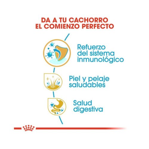 Royal Canin Golden Retriever Puppy beneficios