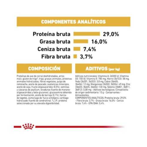 Royal Canin Golden Retriever Puppy croquetas