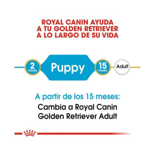 Royal Canin Golden Retriever Puppy etapa de crecimiento
