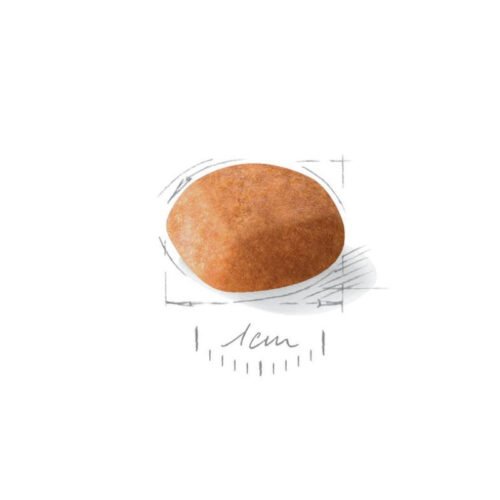 Royal Canin Golden Retriever Puppy saco lateral