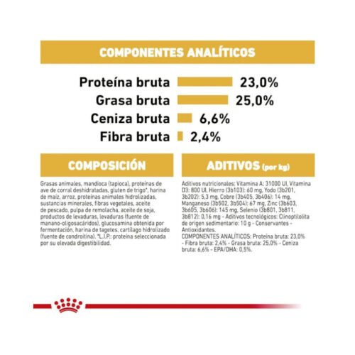 Pack Royal Canin Great Dane Adult