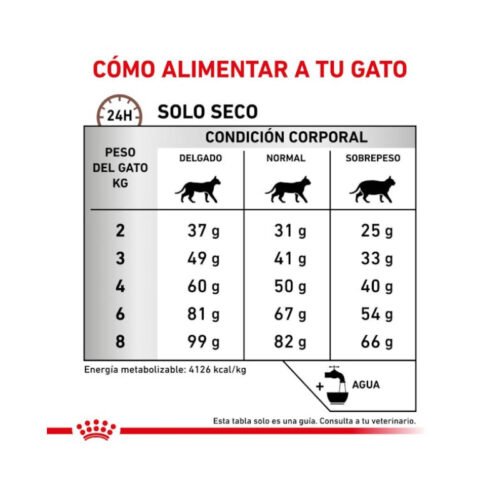 Royal Canin Hepatic pienso para gato adulto racionamiento