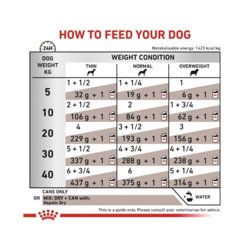 Royal Canin Hepatic Paté envase secundario perro