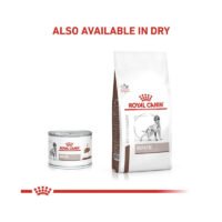 Royal Canin Hepatic Paté pack húmedo y seco para perro