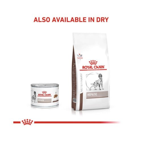 Royal Canin Hepatic Paté pack húmedo y seco para perro