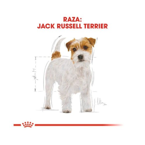 Royal Canin Jack Russell Terrier Adult nutrientes principales