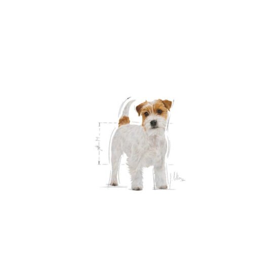 Royal Canin Jack Russell Terrier Adult parte trasera