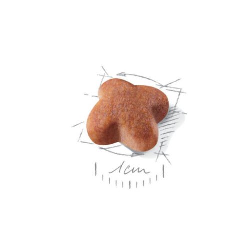 Royal Canin Jack Russell Terrier Adult vista lateral