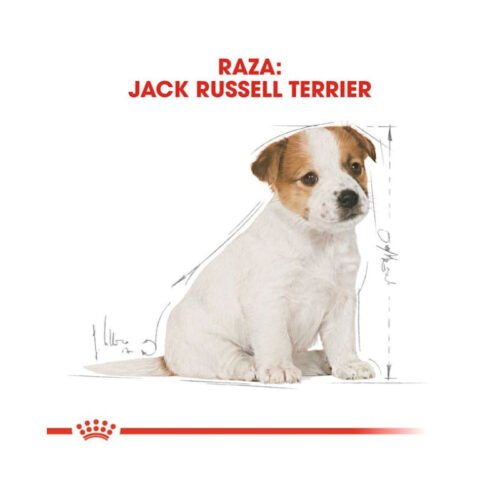 Royal Canin Jack Russell Terrier Puppy componentes nutricionales