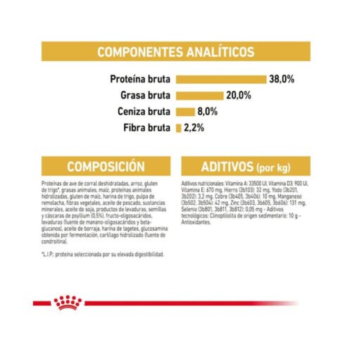 royal-canin-royal-canin-kitten-british-shorthair-gato-gatito-folleto Detalle de folleto Royal Canin Kitten British Shorthair