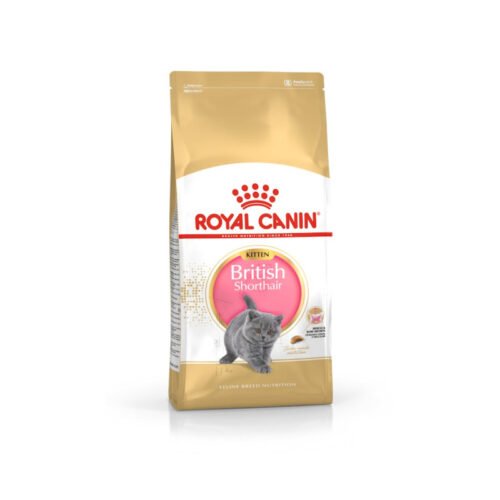 royal-canin-royal-canin-kitten-british-shorthair-gato-gatito-royal-canin-kitten-british-shorthair Pack frontal del saco Royal Canin Kitten British Shorthair