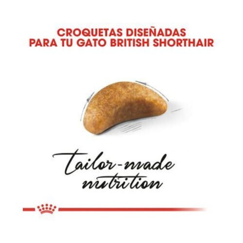 royal-canin-royal-canin-kitten-british-shorthair-gato-gatito-textura Imagen de la textura de las croquetas Royal Canin Kitten British Shorthair
