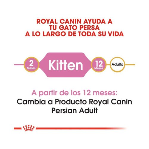 Royal Canin Kitten Persian etapa de crecimiento del gatito