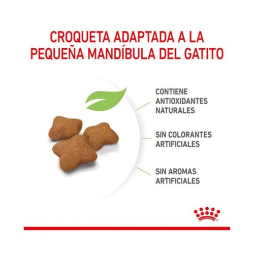 croquetas marrones adaptadas a gatitos