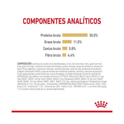 Royal Canin Labrador Retriever Adult 5+ presentación