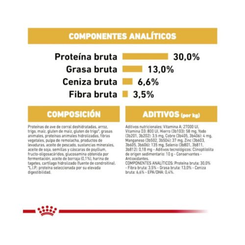 Royal Canin Labrador Retriever Adult presentación