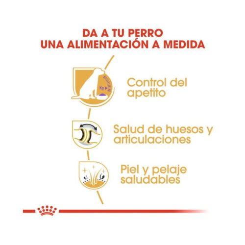 Royal Canin Labrador Retriever Adult Sterilised beneficios