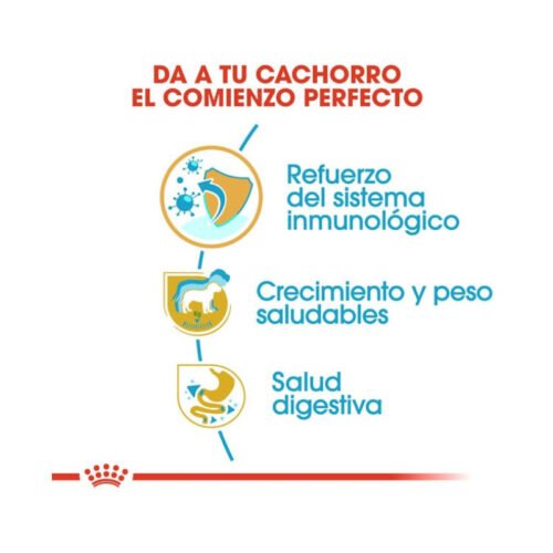 Royal Canin Labrador Retriever Puppy beneficios