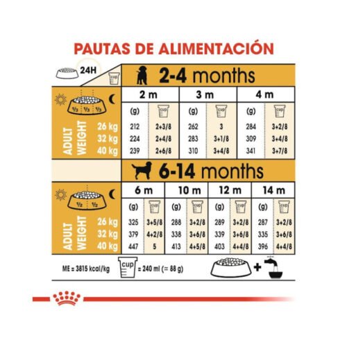 Royal Canin Labrador Retriever Puppy racionamiento