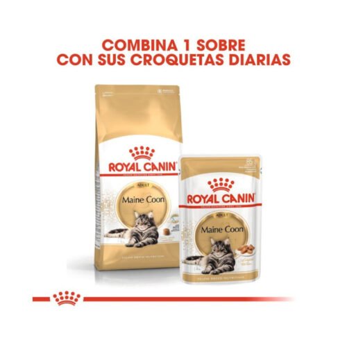 Infografía sobre alimentación mixta Royal Canin Maine Coon Adult húmedo