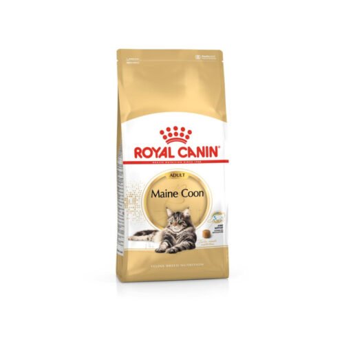 royal-canin-royal-canin-maine-coon-adult-gato-adulto-royal-canin-maine-coon-adult Pack frontal del saco Royal Canin Maine Coon Adult