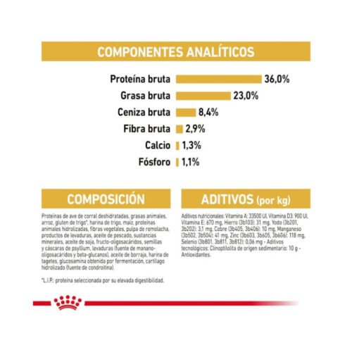 Royal Canin Maine Coon Kitten guía de alimentación