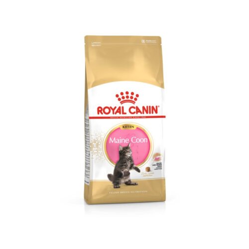 Royal Canin Maine Coon Kitten pack frontal del pienso seco