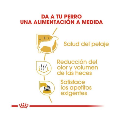 Royal Canin Maltese Adult beneficios principales