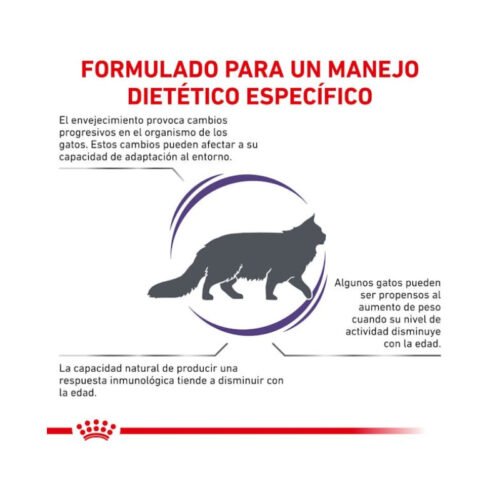 beneficios nutricionales royal canin mature consult balance gato comida seca