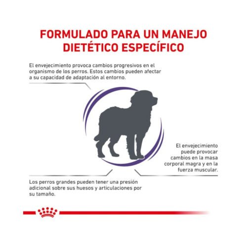 visual adicional pienso Royal Canin Mature Consult Large Dog