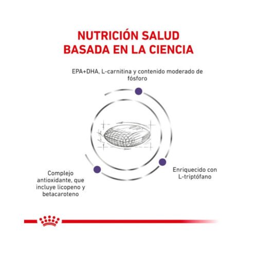 guía de raciones Royal Canin Mature Consult Large Dog