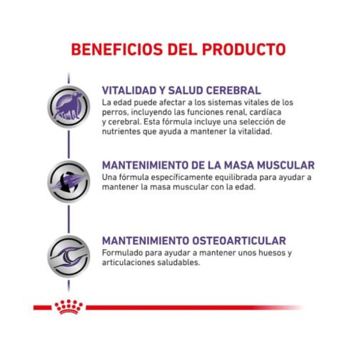 presentación Royal Canin Mature Consult Large Dog croquetas marrones