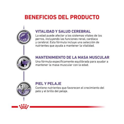 guía de raciones pienso Royal Canin Mature Consult Medium Dog