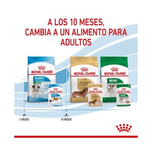 detalle textura comida Royal Canin Mini Puppy
