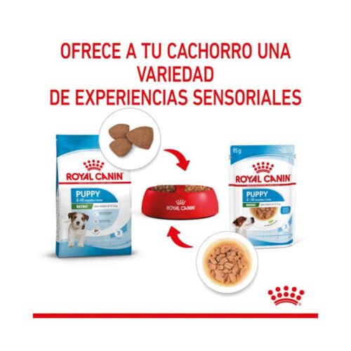 vista trasera del pack Royal Canin Mini Puppy