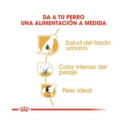 Imagen de los beneficios del pienso Royal Canin Miniature Schnauzer Adult