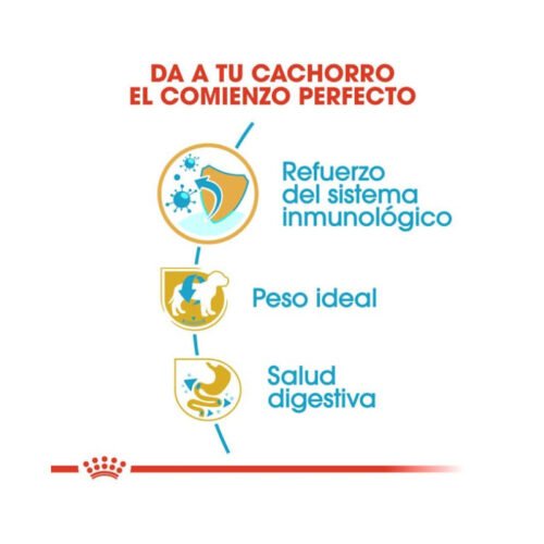 Imagen de los beneficios del pienso Royal Canin Miniature Schnauzer Puppy