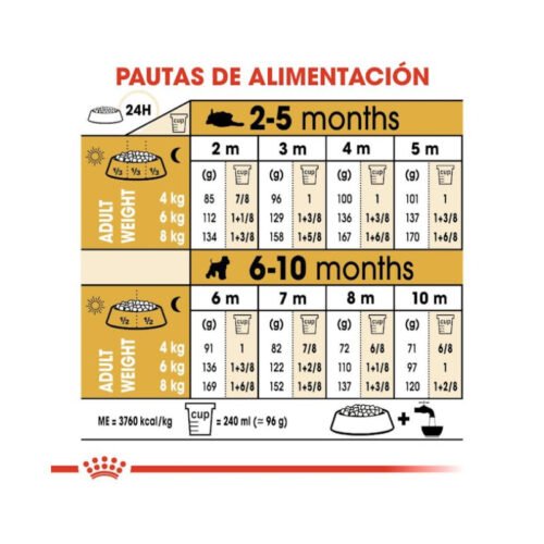Imagen de la tabla de racionamiento del pienso Royal Canin Miniature Schnauzer Puppy