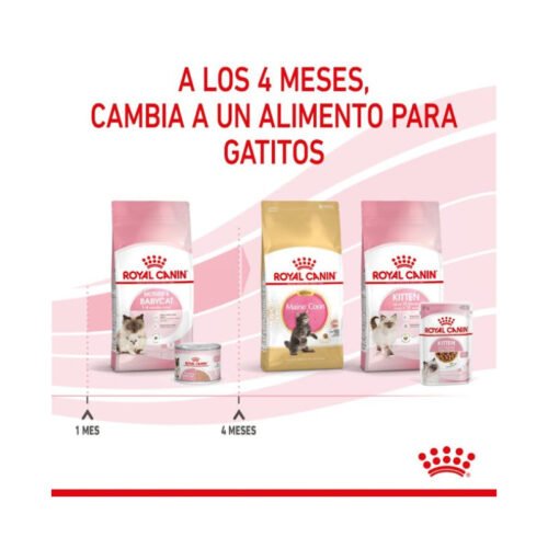 royal-canin-royal-canin-mother-babycat-gato-gatito-comida-humeda-gatos-royal-canin Lata lateral comida húmeda Royal Canin Mother & Babycat