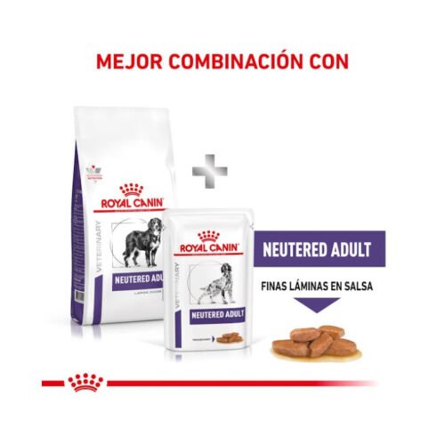 royal-canin-royal-canin-neutered-adult-large-dog-perro-adulto-beneficios beneficios Royal Canin Neutered Adult Large Dog