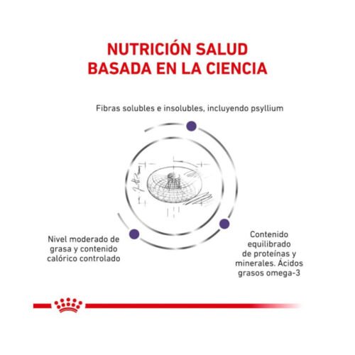 royal-canin-royal-canin-neutered-adult-large-dog-perro-adulto-presentacion presentación Royal Canin Neutered Adult Large Dog croquetas marrones