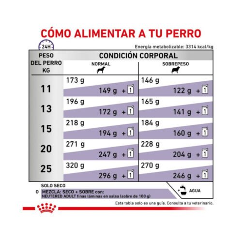 beneficios Royal Canin Neutered Adult Medium Dog