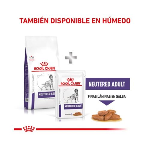 ingredientes del pienso Royal Canin Neutered Adult Medium Dog