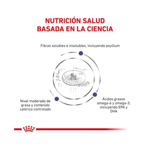 presentación Royal Canin Neutered Adult Medium Dog en croquetas marrones