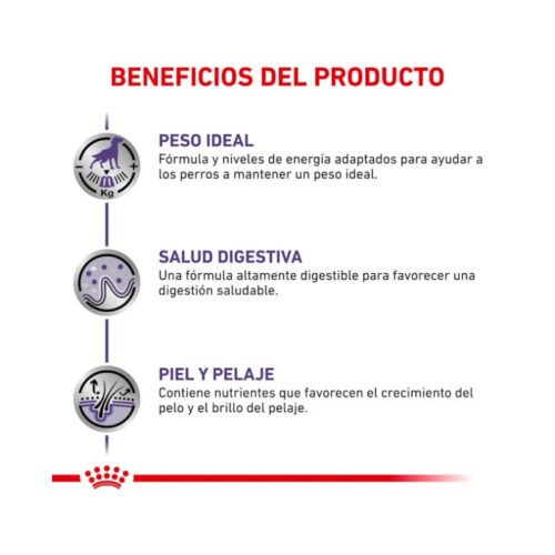 Royal Canin Neutered Adult Finas Láminas en Salsa pautas de alimentación