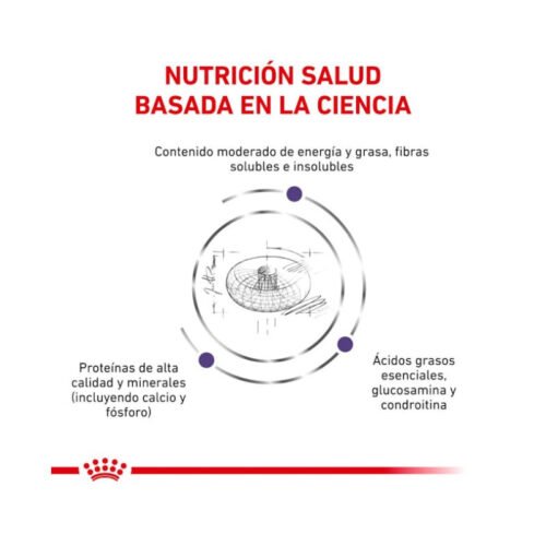 composición analítica Royal Canin Neutered Junior Large Dog