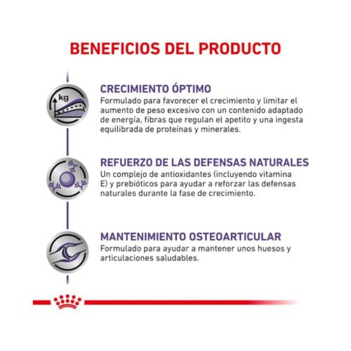 tabla de raciones Royal Canin Neutered Junior Large Dog