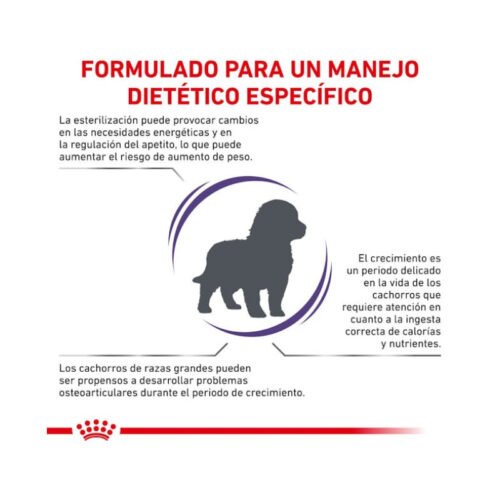 presentación del pienso Royal Canin Neutered Junior Large Dog