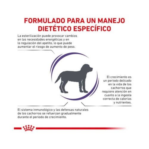 informacion nutricional royal canin neutered junior comida seca
