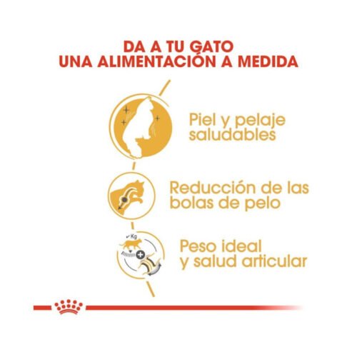 royal-canin-royal-canin-norwegian-forest-cat-adult-gato-adulto-beneficios Beneficios nutricionales Royal Canin Norwegian Forest Cat Adult